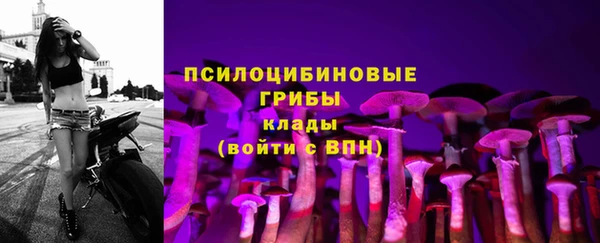 стафф Алексеевка