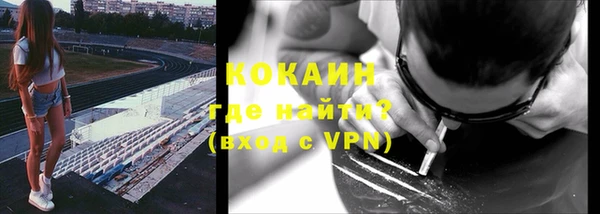 гашик Алексин