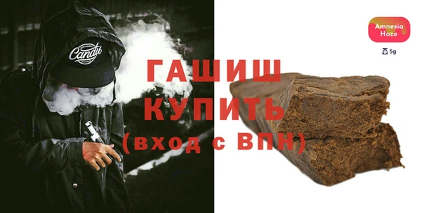 гашик Алексин