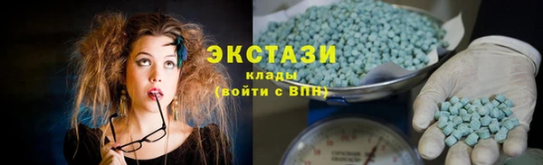 гашик Алексин