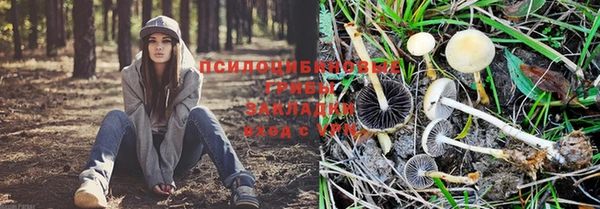 гашик Алзамай