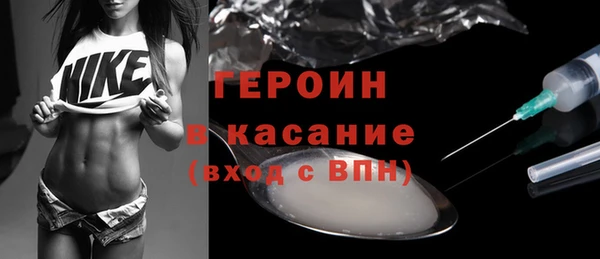 гашик Алексин