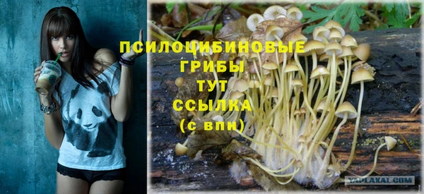 гашик Алексин