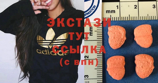 хмурый Магас