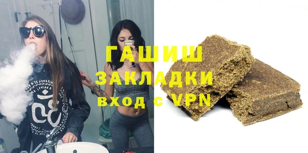 гашик Алексин