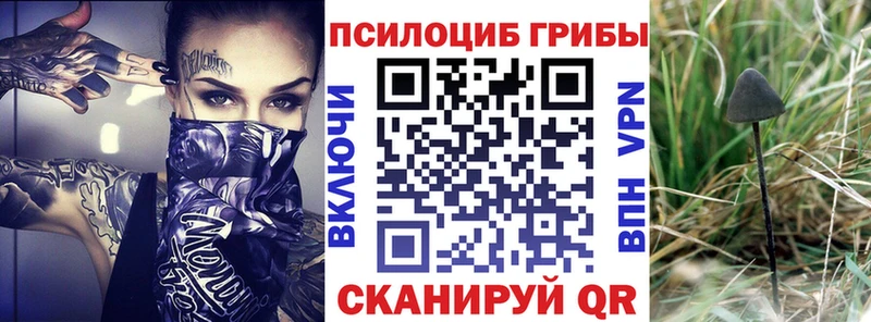 ссылка на мегу как войти  сколько стоит  Малаховка  Галлюциногенные грибы мухоморы 