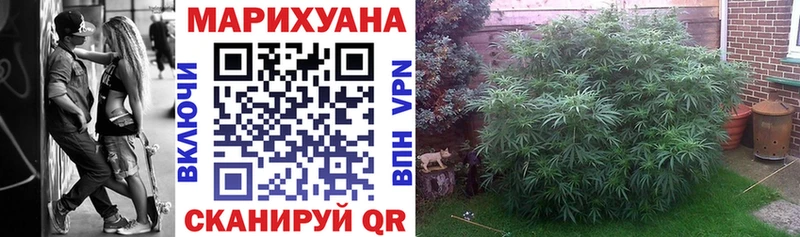 где найти   Малаховка  кракен как войти  Канабис SATIVA & INDICA 